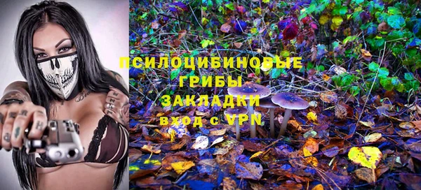 apvp Белокуриха