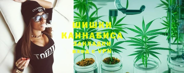 PSILOCYBIN Беломорск